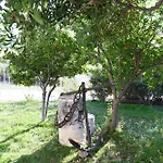 Villa Traditional With Swimming Pool, Lawn Yard And Bbq Kos By