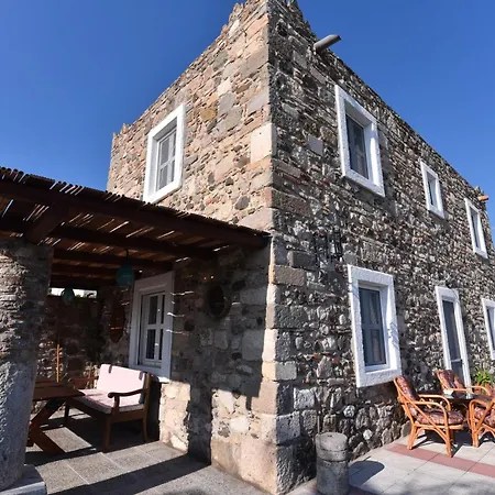Villa Traditional With Swimming Pool, Lawn Yard And Bbq Kos By