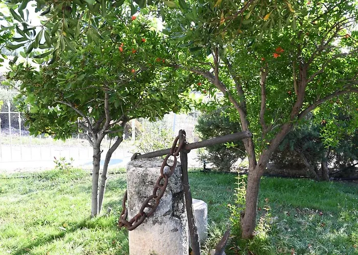 Villa Traditional With Swimming Pool, Lawn Yard And Bbq Cós