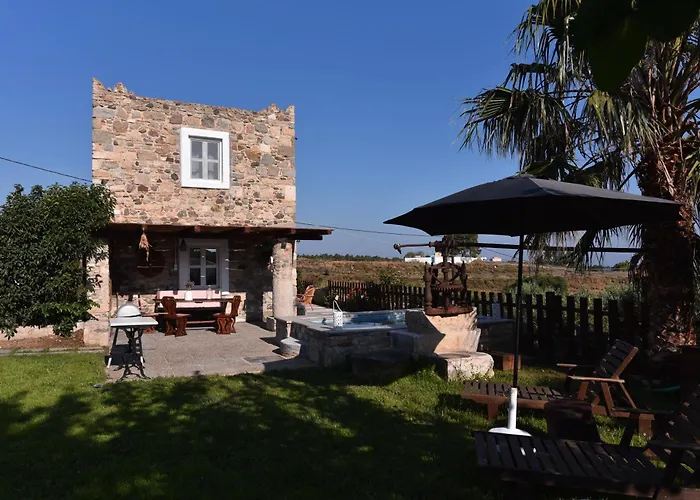 Traditional With Swimming Pool, Lawn Yard And Bbq