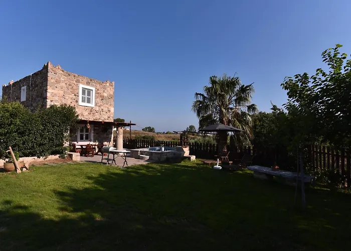 Traditional With Swimming Pool, Lawn Yard And Bbq Cós