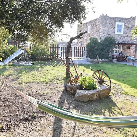 Traditional With Swimming Pool, Lawn Yard And Bbq Willa *