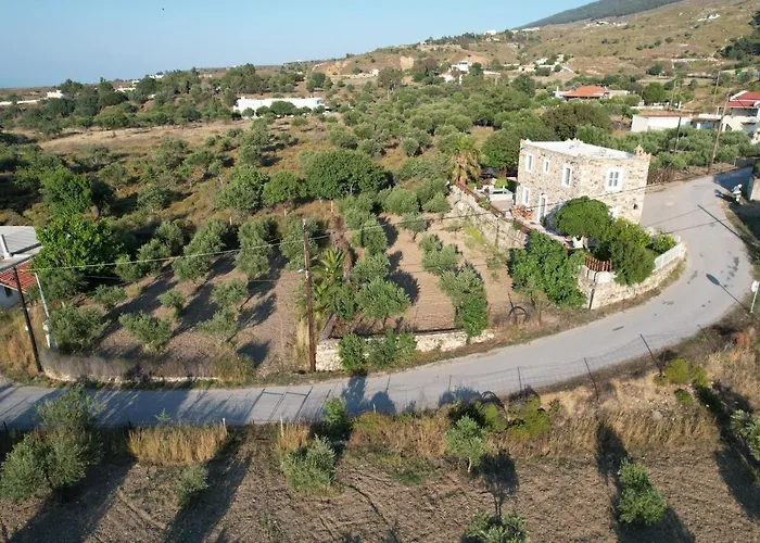 Traditional With Swimming Pool, Lawn Yard And Bbq