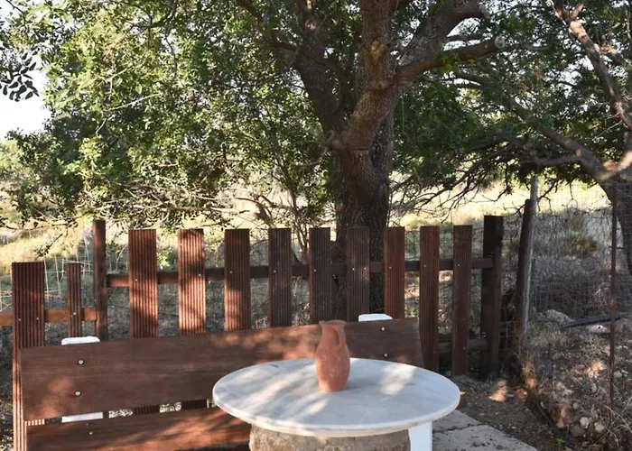 Villa Traditional With Swimming Pool, Lawn Yard And Bbq