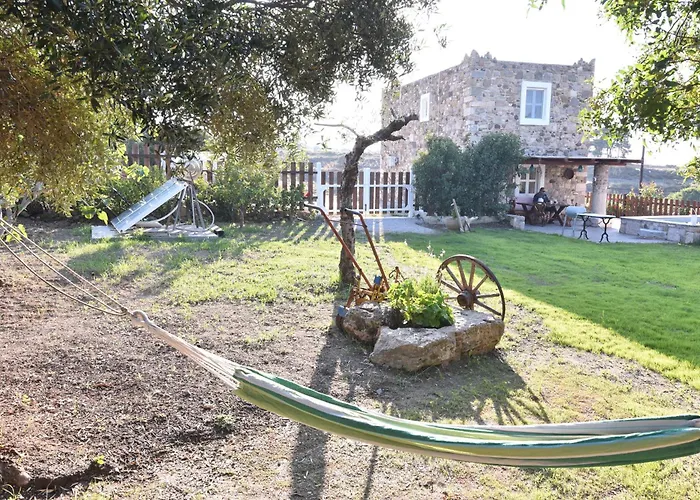 Traditional With Swimming Pool, Lawn Yard And Bbq فيلة *